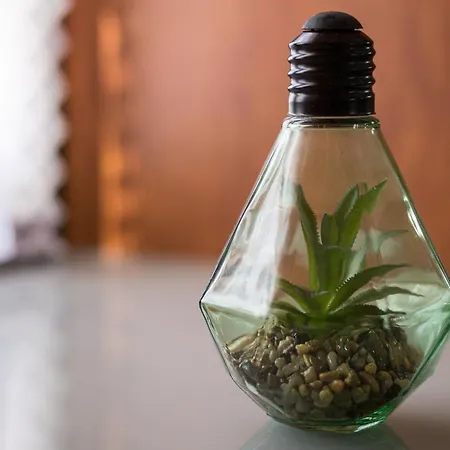 No & Na Montecastillo I1 Apartamento *